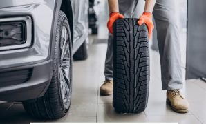 Ban Michelin Primacy